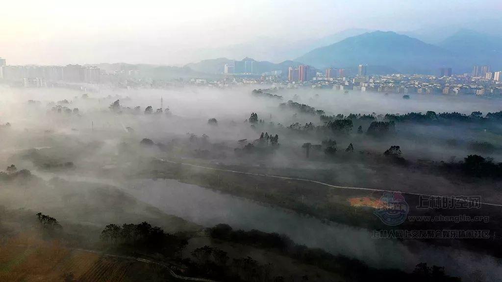 智力水滴