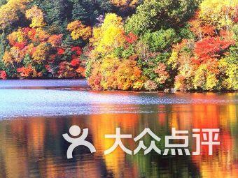 深海鱼救援