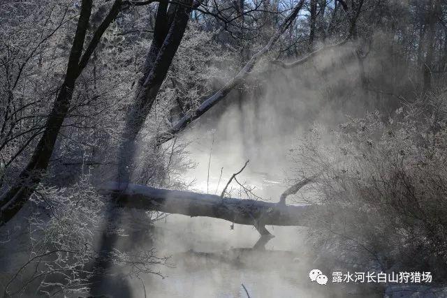 为什么现在很多男生都越来越不爱追女生？甚至无心恋爱？