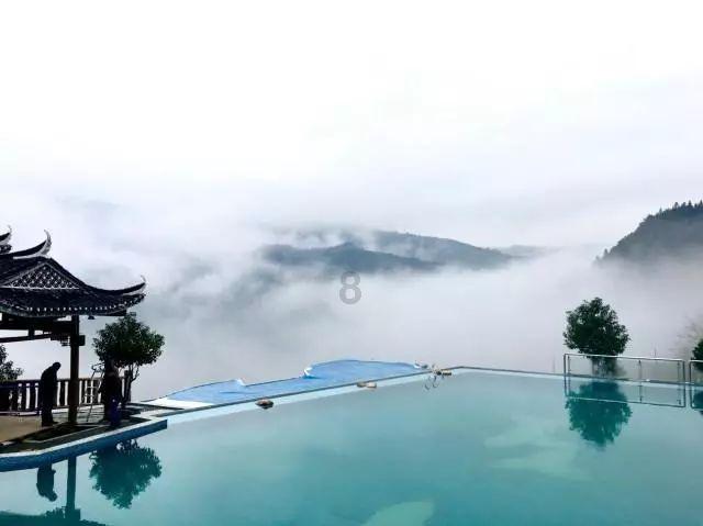 拯救小松鼠