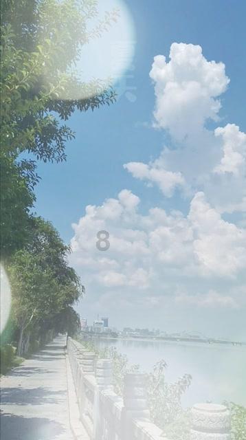 赛马大亨8